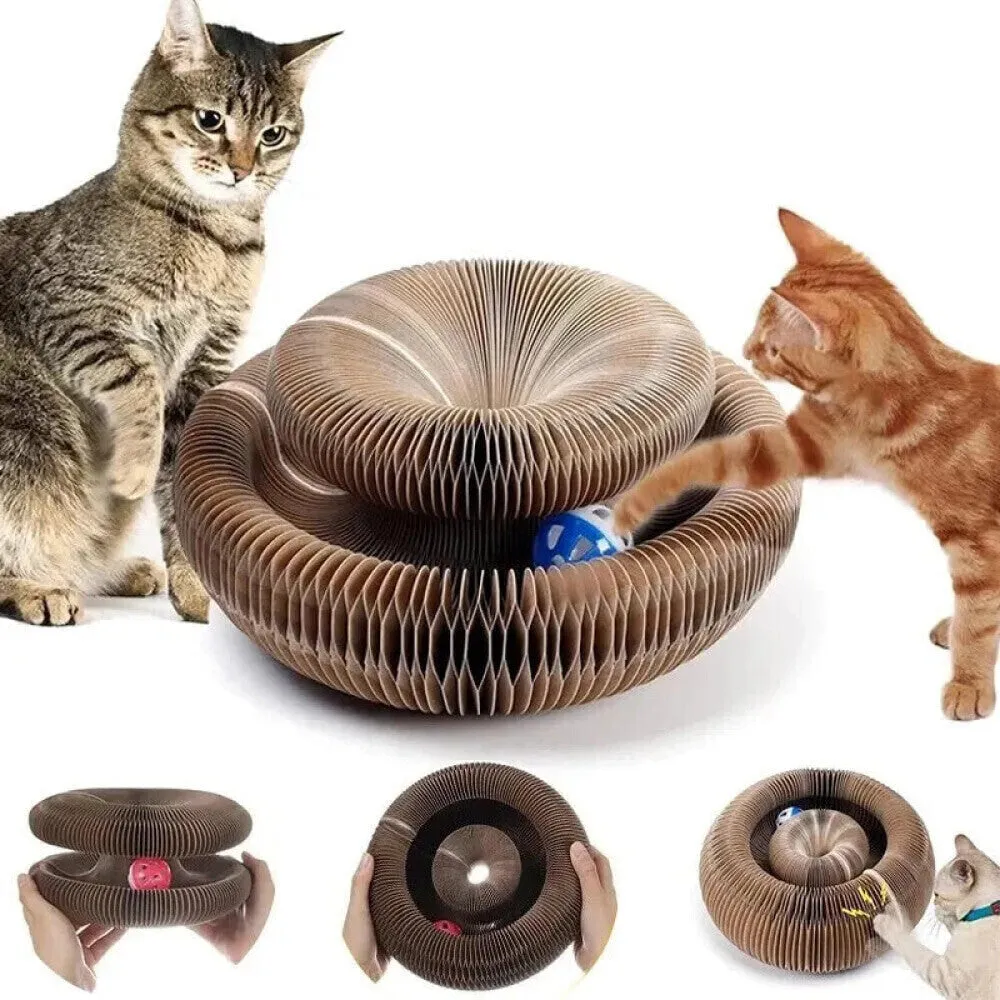 Cat Scratch Organ Board Toy with Ball and Climbing Frame