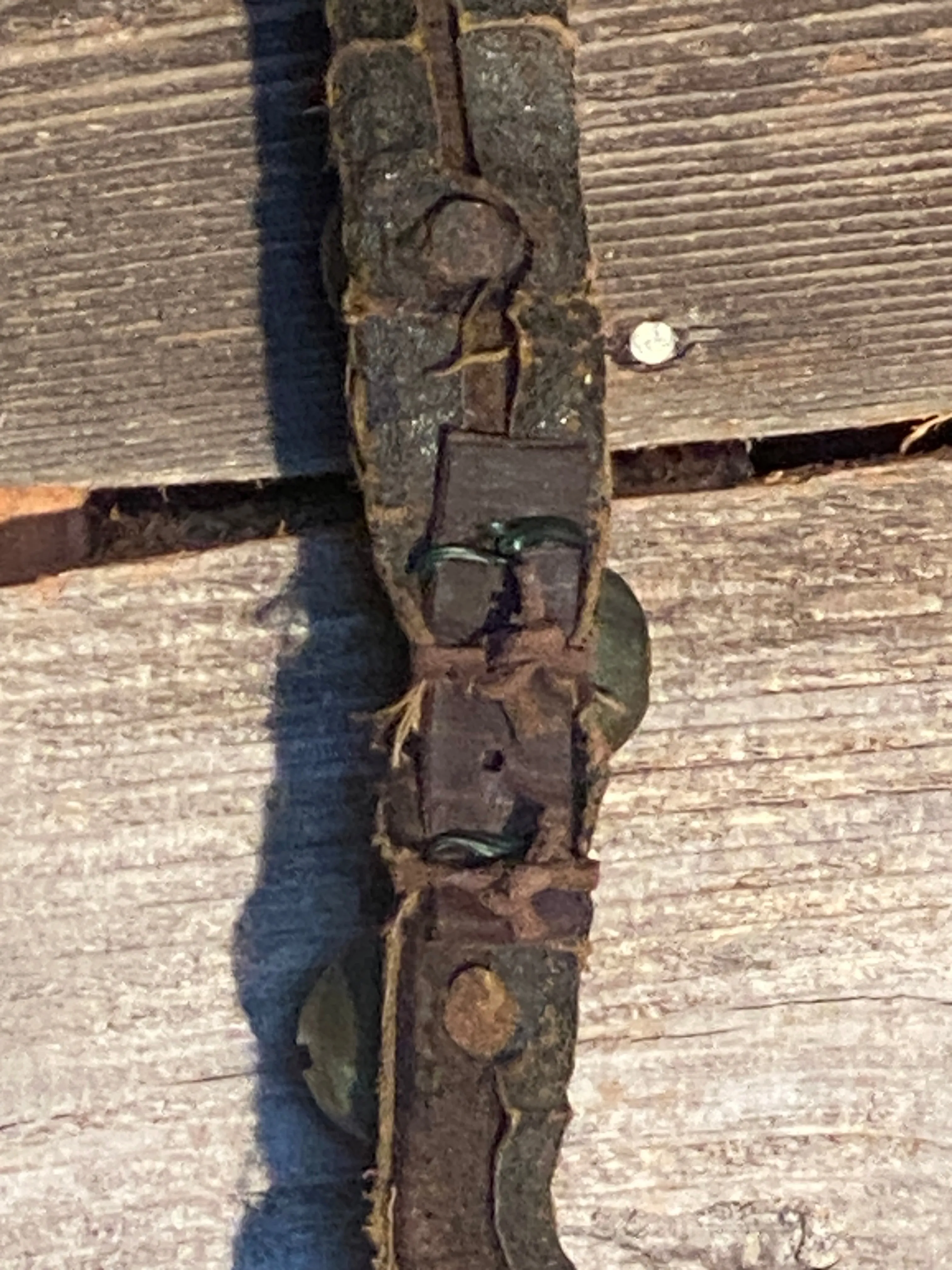 Unique Sleigh Bells on Leather Strap - 33