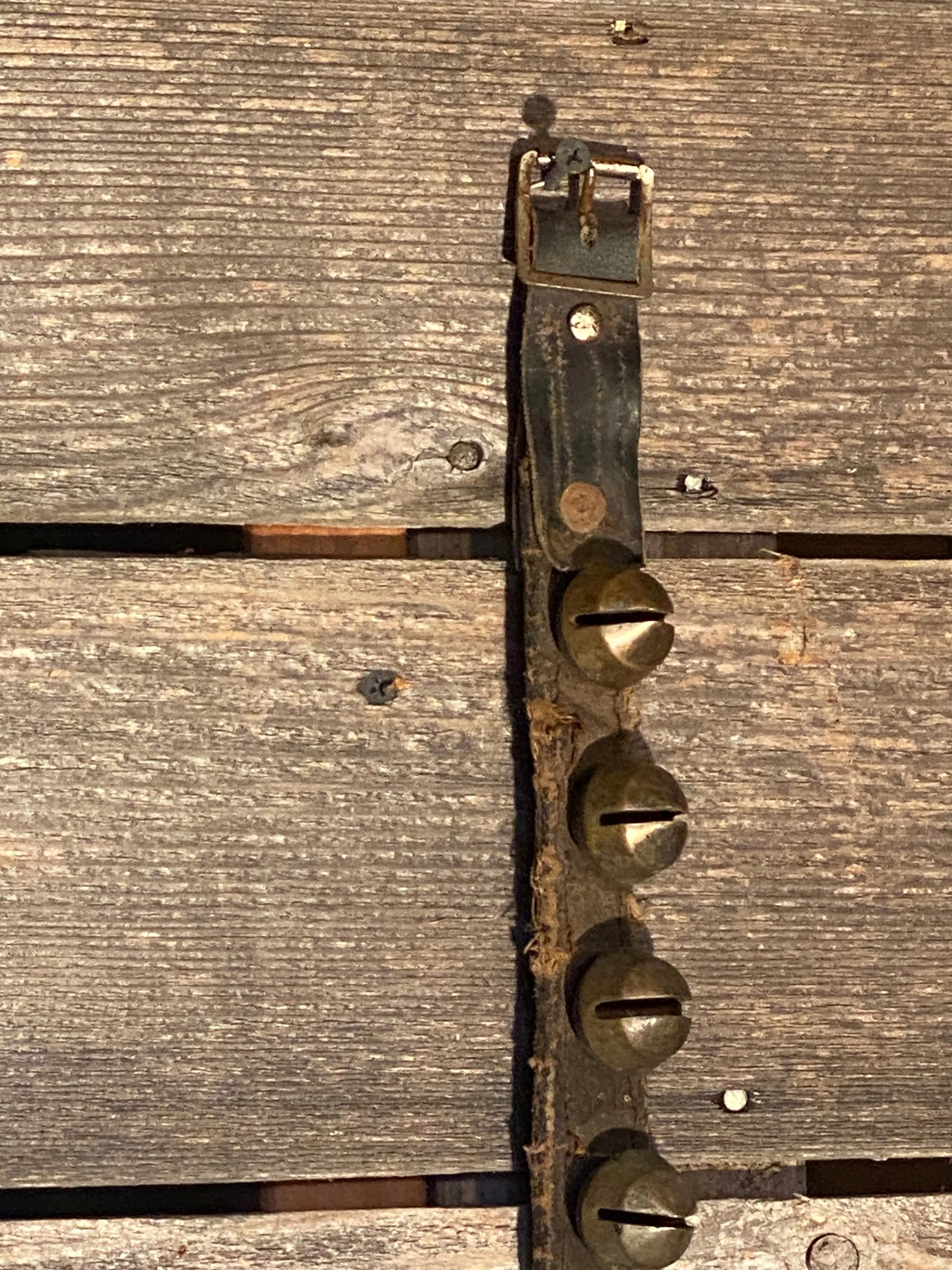Unique Sleigh Bells on Leather Strap - 33
